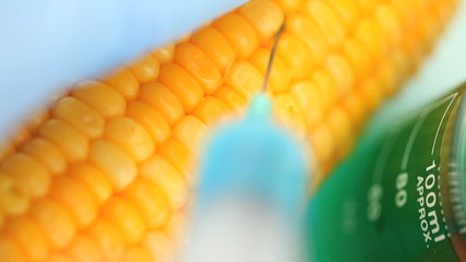 Blue product being injected in sweet corn - Powered by Adobe