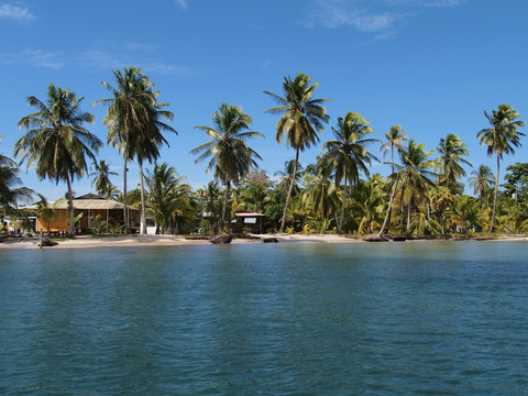 Tropical beach with typical Caribbean house under coconut trees