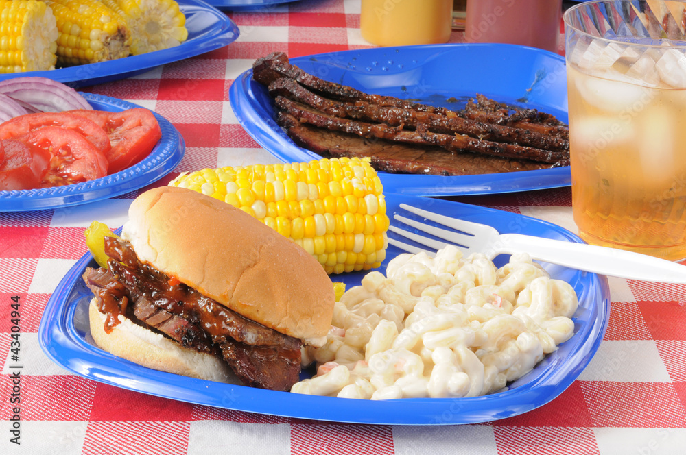 Canvas Prints Picnic lunch with barbecue beef