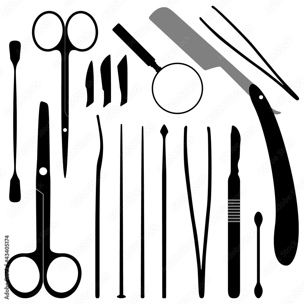 Wall mural dissection tools equipment and kits