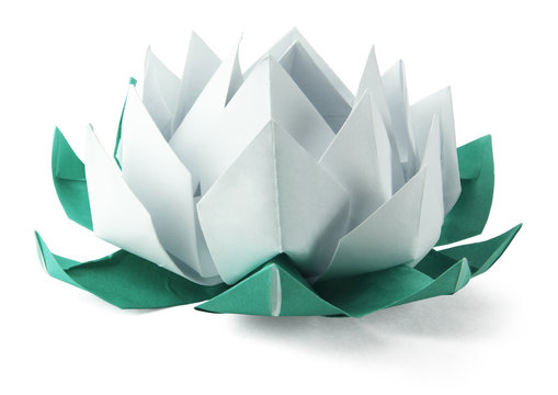 Fototapeta Origami lotus
