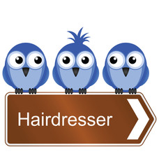 Bird requiring the services of a hairdresser