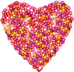 straw flower or everlasting