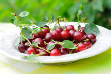 Cherries