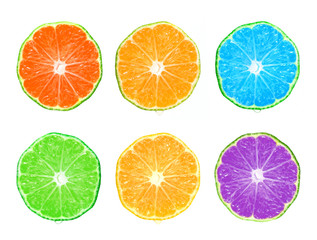 Color citrus slice