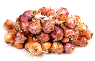 Closeup  of a group of onions a white background