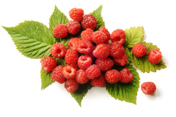 Fresh raspberries with leaves