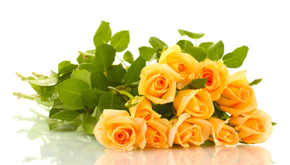 beautiful bouquet of roses isolated on white