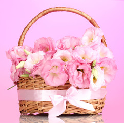 Fototapeta na wymiar bukiet kwiatów w koszu eustoma, na różowym tle