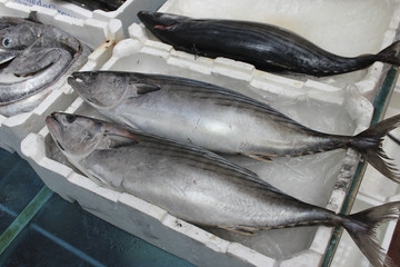 Fischmarkt - Markthalle