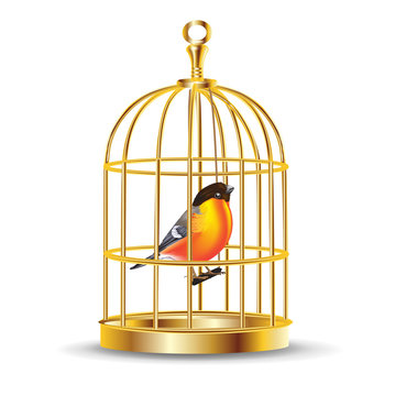 golden bird cage with bird inside