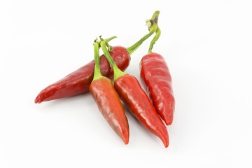 red hot chili peppers