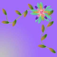 Flower of frame on background