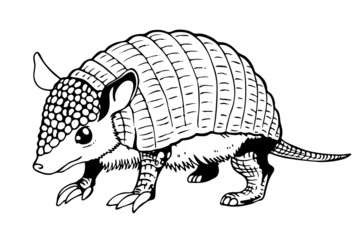 Armadillo