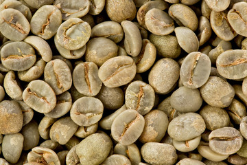 Green Coffee Beans