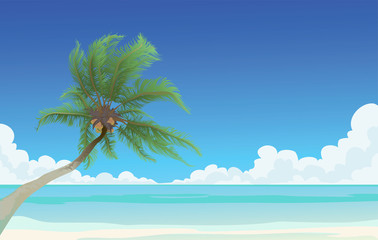 Fototapeta na wymiar Coconut palm tree and the blue sea