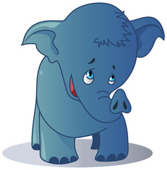 Blue Elephant
