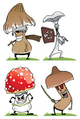 A set of different poisonous mushrooms in the grass