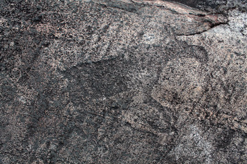 Rock paintings (petroglyphs) of Zalavruga. Elk