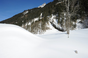 Fototapeta na wymiar Górski krajobraz w Engelbergu w szwajcarskich Alpach