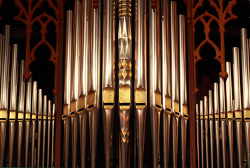 Organ Pipes