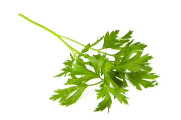 Parsley