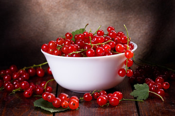 red currant
