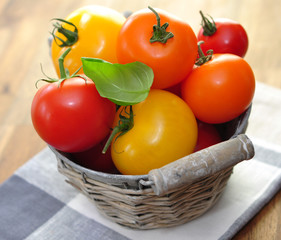 Tomaten,Korb