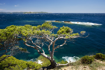 Blick auf Proquerolles bei Mistral