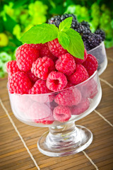 Sweet fresh fruits in glass goblet with mint leaf