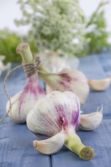 Bunch of Garlic