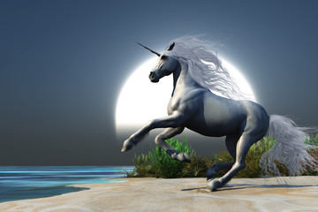 Midnight Unicorn © Catmando