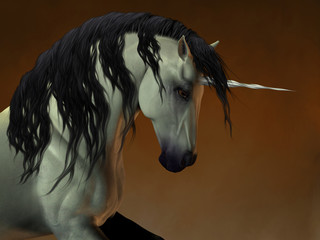 Unicorn 02 © Catmando