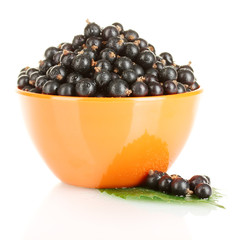 Fresh black currant in orange bowl isolated on white