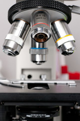 Fototapeta na wymiar Zbliżenie mikroskop z płytkie głębi pola