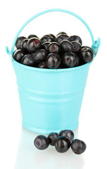 ripe blueberries in blue bucket isolated on white