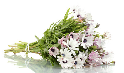 bouquet of beautiful summer flowers, isolated on white