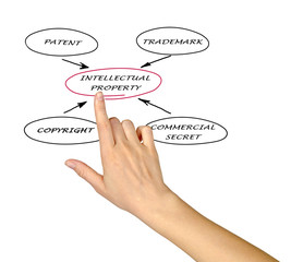 Presentation of protection of intellectual property