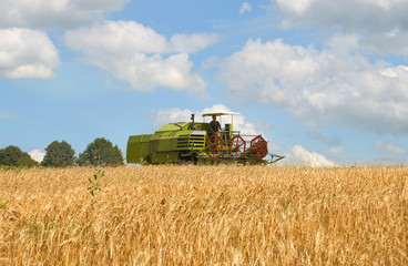 Plakat combine harvesting wheat