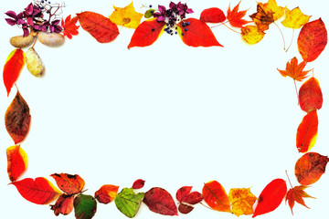 紅葉のフレーム　A