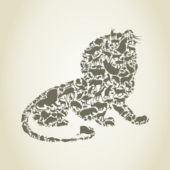 Lion3