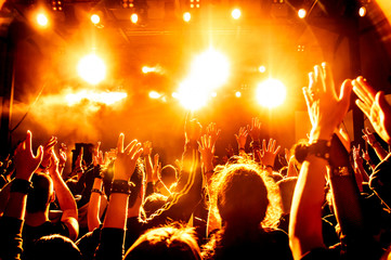 cheering crowd at concert