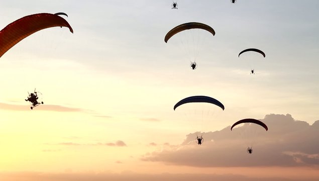 Group of parachute or paramotor fly in sunset, sport activity