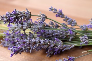 Fototapeta premium lavender flowers