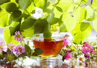 Image of Herbal tea with fresh herbs printed on Printed Glass Splashbacks