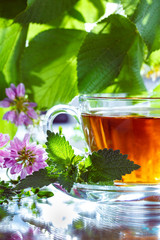 Herbal tea with mint