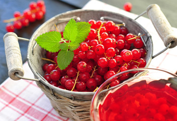 Minze, Johannisbeeren