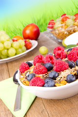 Healthy cereals breakfast with nature blur background