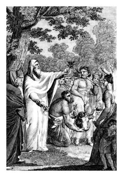 Druidic Ceremony
