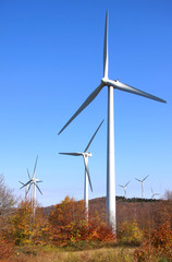 Wind mills in the mountains of West Virginia